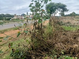 1.9 Acres Prime Land for Sale in Rukanga